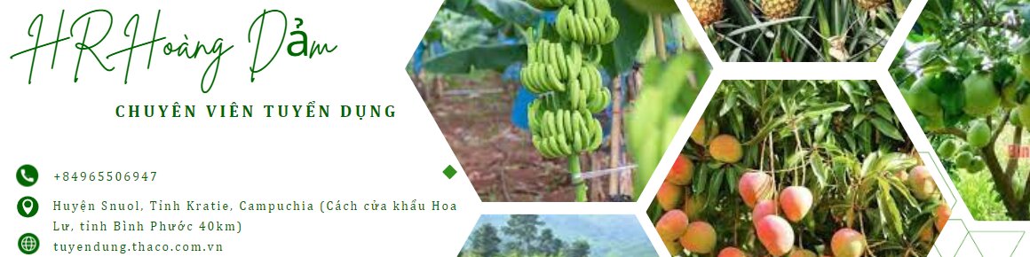 CÔNG TY CỔ PHẦN NÔNG NGHIỆP TRƯỜNG HẢI - THACO AGRI