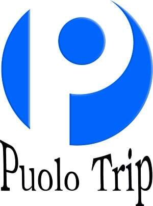 CHI NHÁNH CÔNG TY TNHH MTV PUOLO TRIP